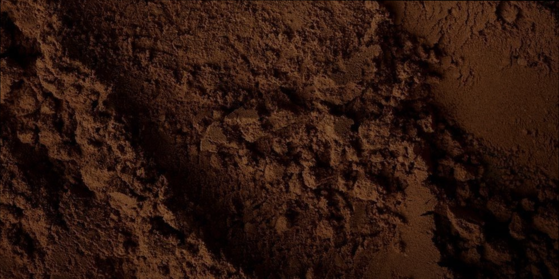 Diatomaceous Earth