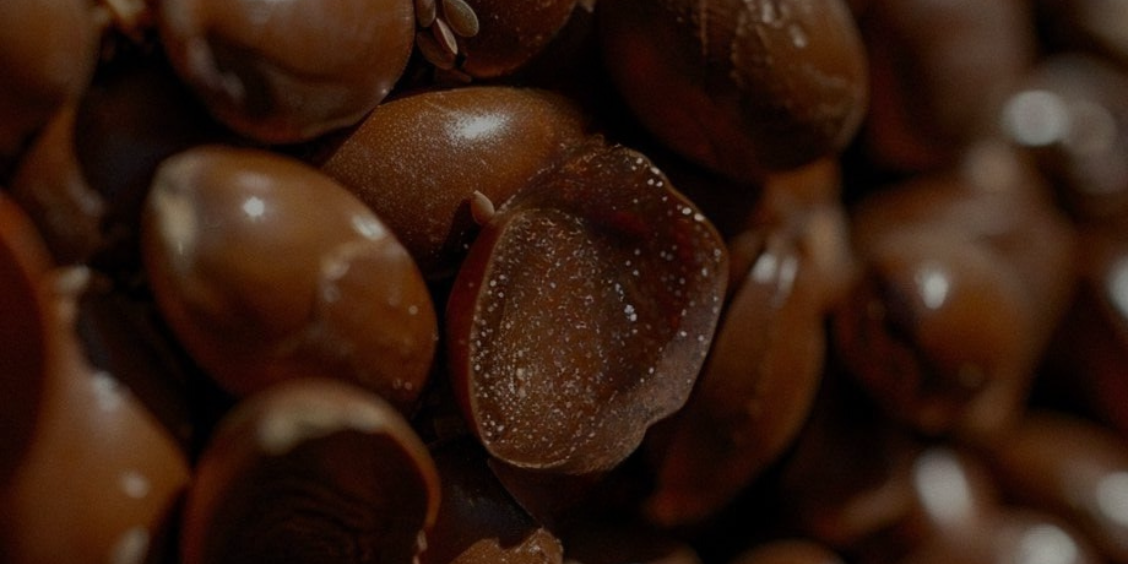 Argan Oil