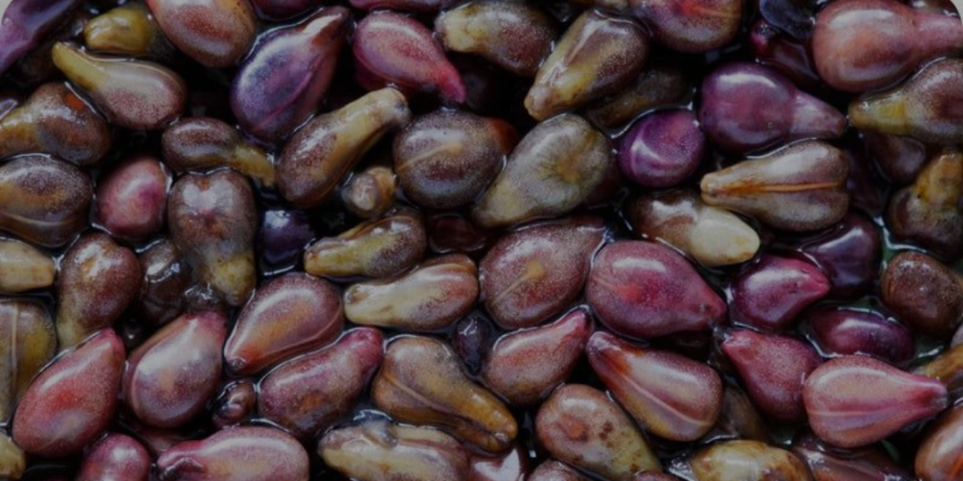 Grape Seed Oil